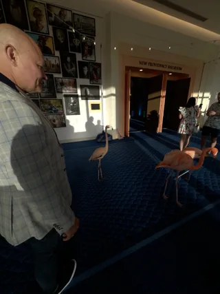 Shawn standing near several flamingos inside a hallway near a ballroom entrance.