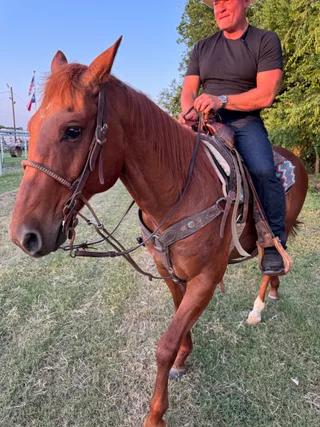 Shawn rides a horse outdoors in a field.