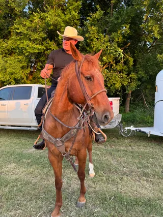 Shawn rides a brown horse outdoors near a truck.