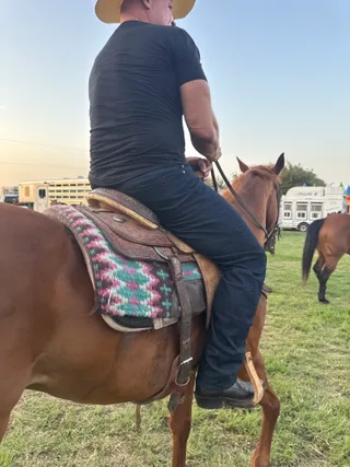 Shawn rides a horse outdoors in a field.